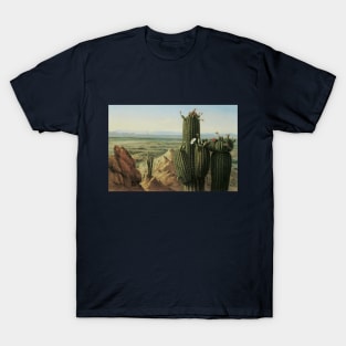 View from Maricopa Mountain Near the Rio Gila by Pratt T-Shirt